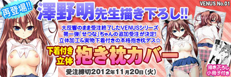 〈VENUS No.01〉澤野明先生描き下ろし下着付き立体抱き枕カバー