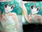 銀河の歌姫クッション(裏)＆緑の娘抱き枕カバー(表)